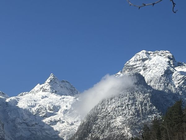 IMG 7468 2